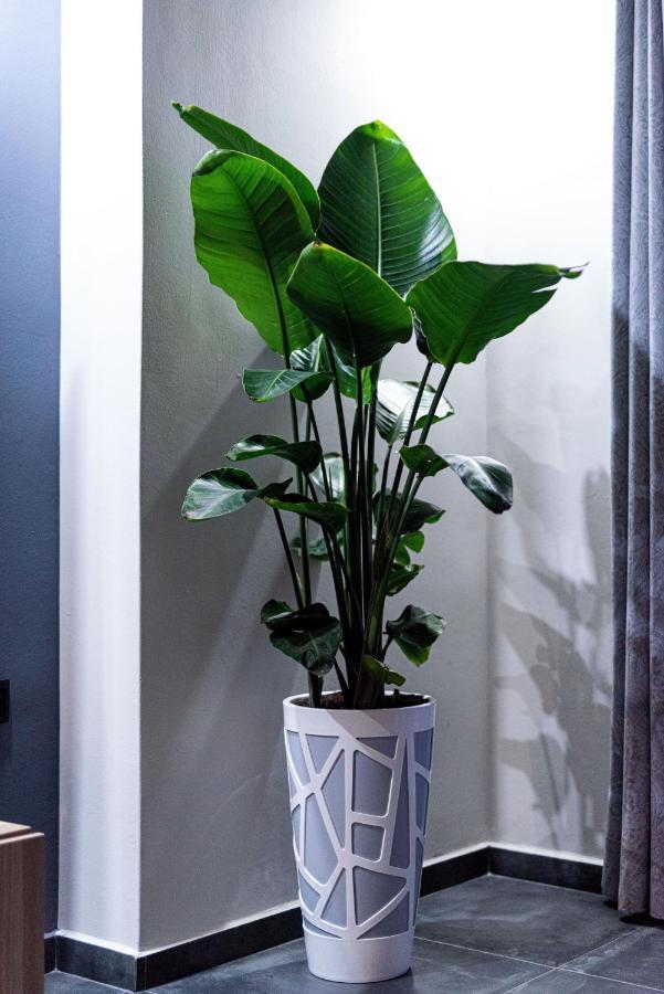 Nostos Central Apartment Chania  ภายนอก รูปภาพ